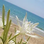 別荘 La Greenhouse -