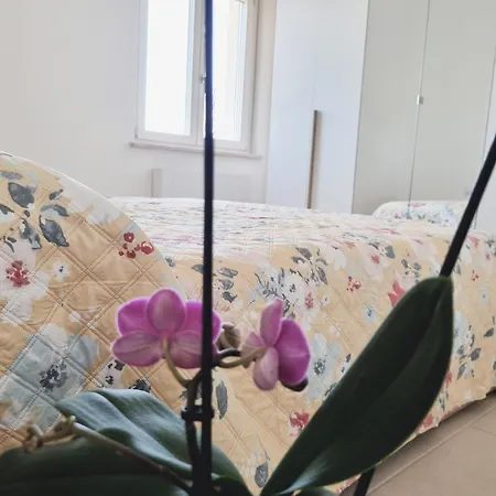 La Greenhouse - Prázdninový dům *