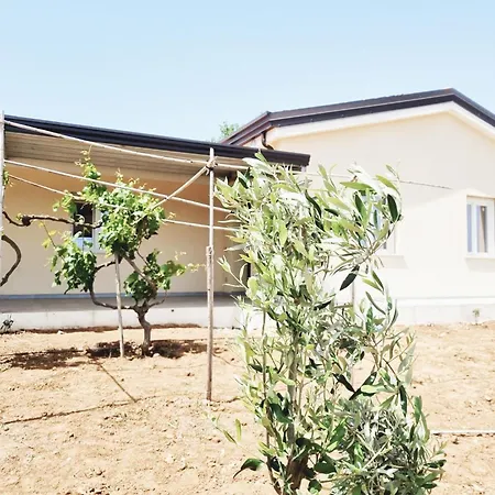 Holiday home La Greenhouse - *