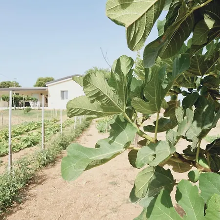 Holiday home La Greenhouse - Isola Di Capo Rizzuto