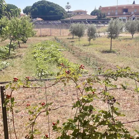La Greenhouse - * Isola Di Capo Rizzuto
