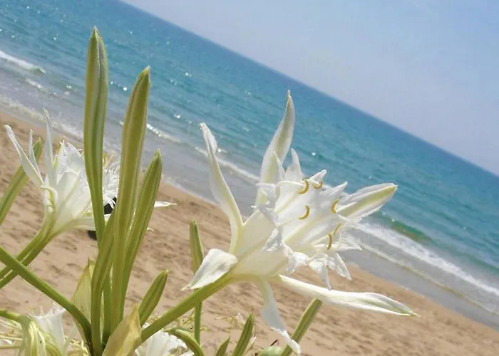 Casa vacanze La Greenhouse -