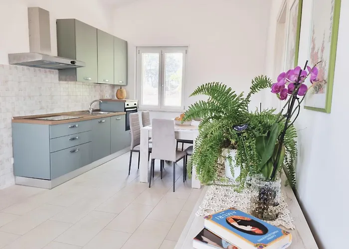 La Greenhouse - Casa vacanze *