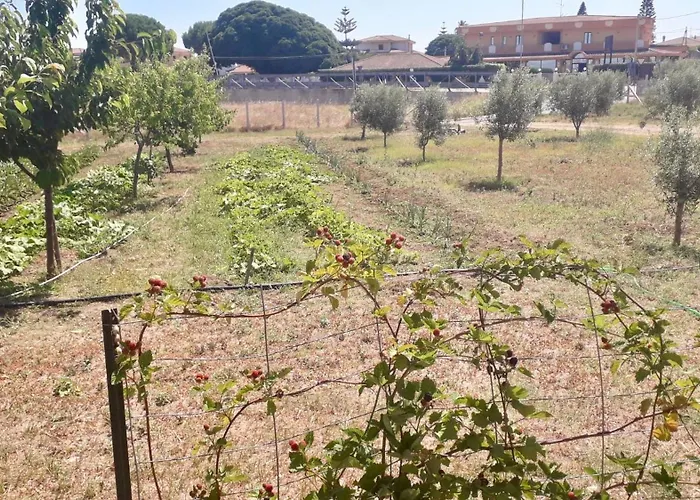 La Greenhouse - * Isola Di Capo Rizzuto